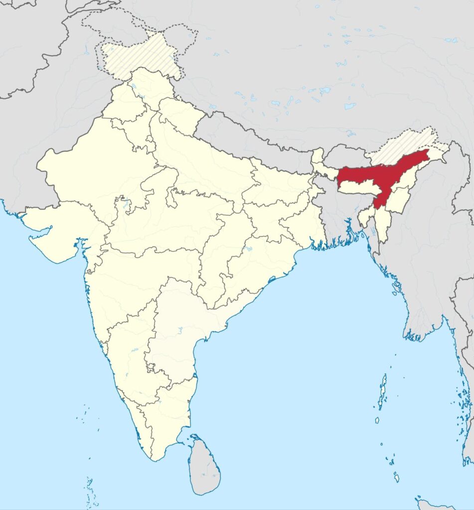 Assam culture