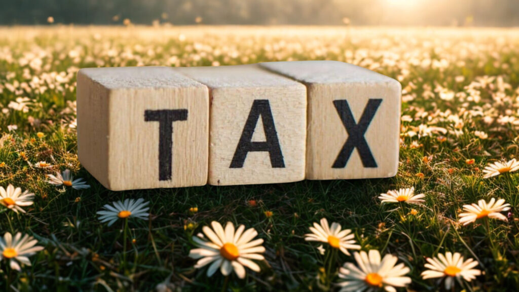 Tax system